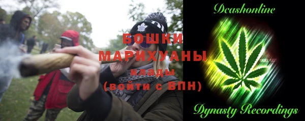ECSTASY Алзамай