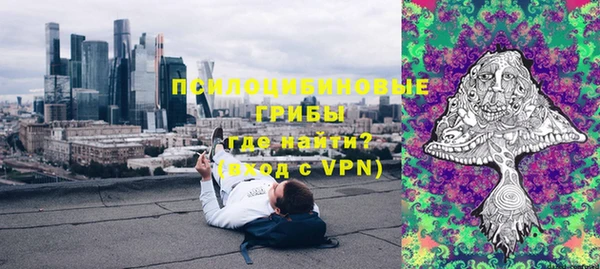 твердый Алексин
