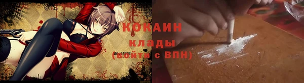 твердый Алексин
