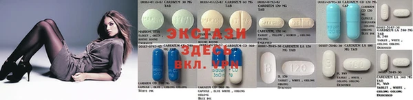 ECSTASY Алзамай