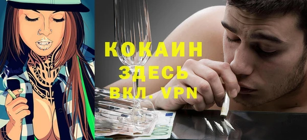 твердый Алексин