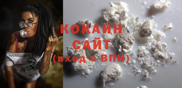 ECSTASY Алзамай