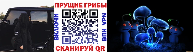 Псилоцибиновые грибы MAGIC MUSHROOMS  Кирсанов 